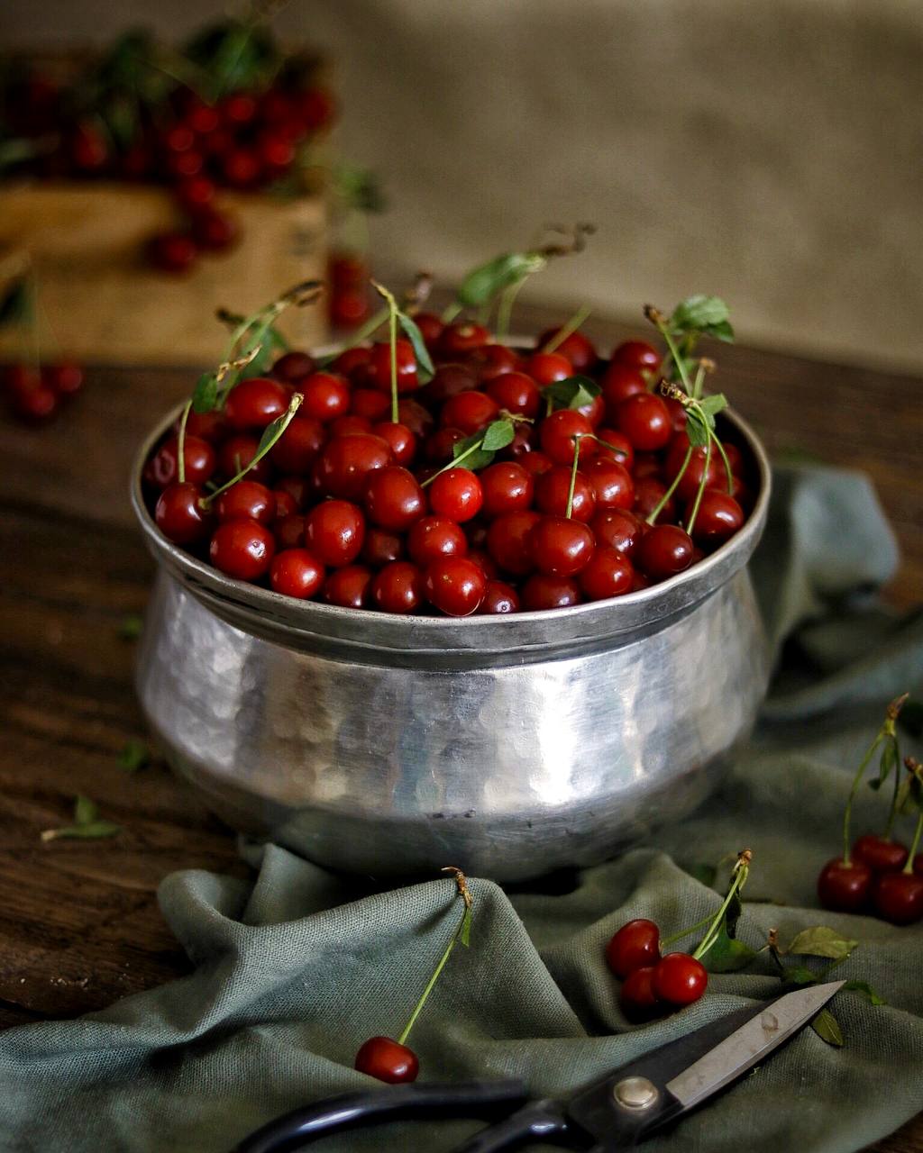 کاسه اطلس خراسان